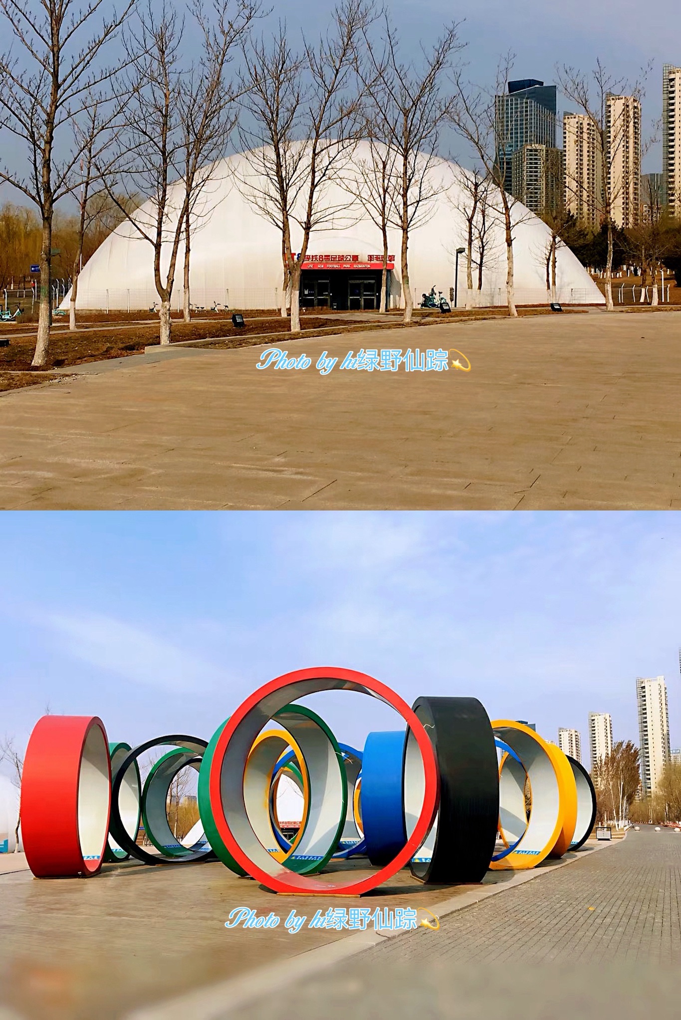 浑南市民公园旅行图片 2