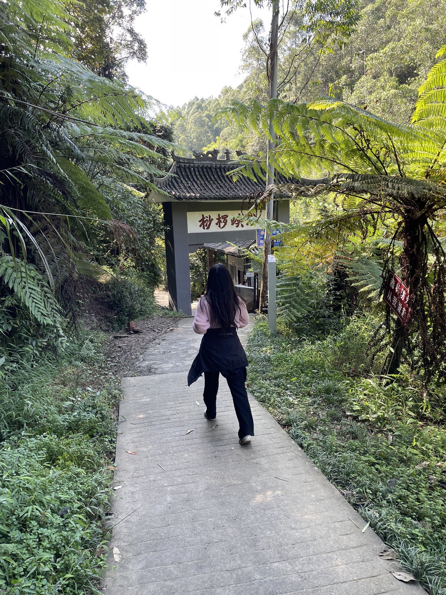 乐山西坝镇桫椤大峡谷(暂停开放)旅行图片 2