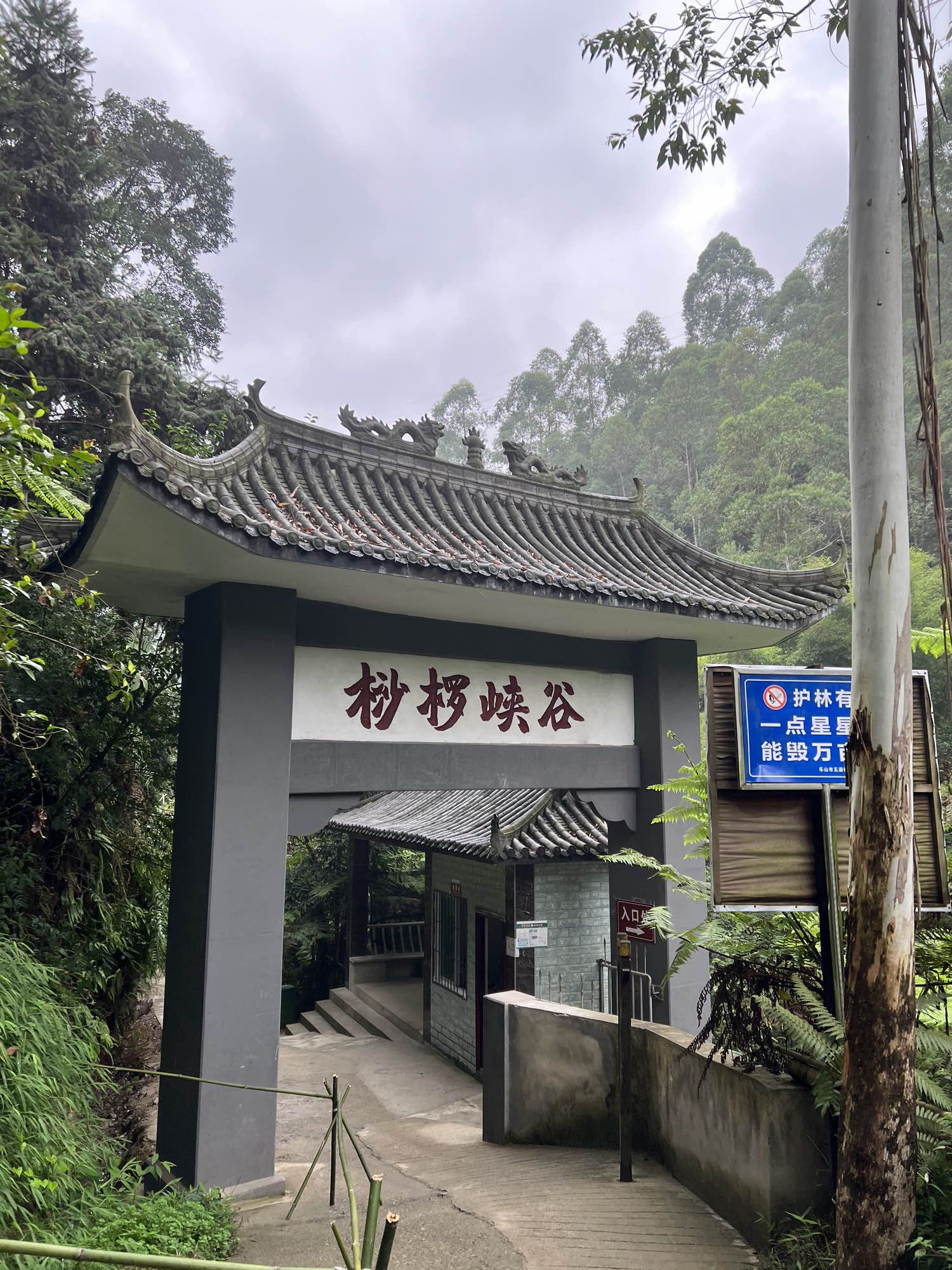 乐山西坝镇桫椤大峡谷(暂停开放)旅行图片 1