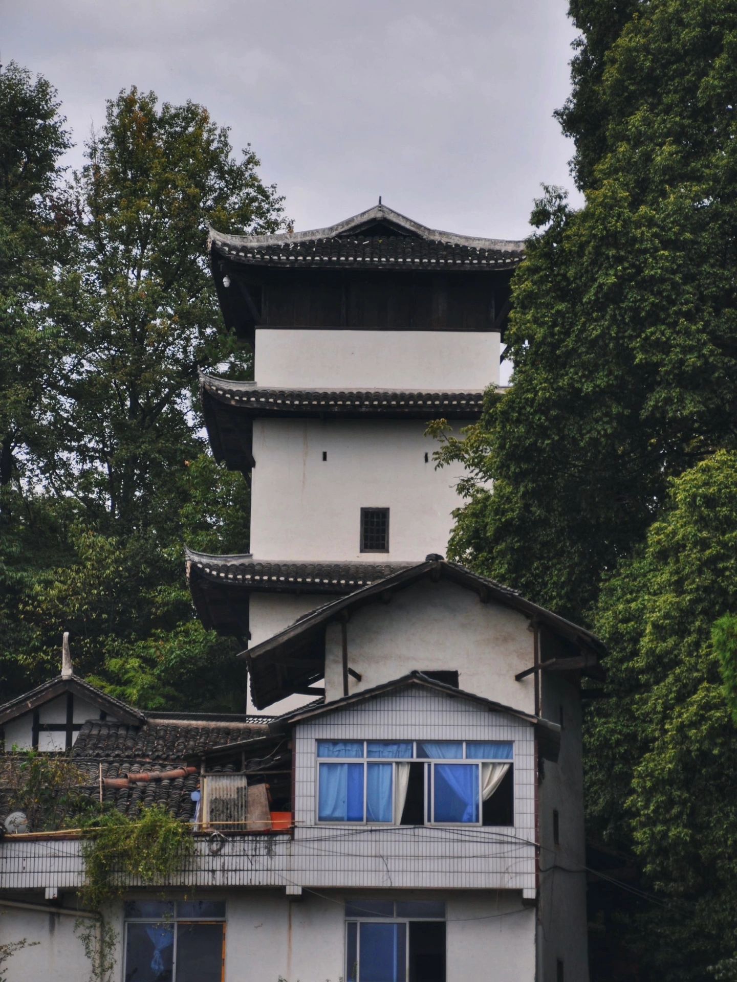 会龙庄旅行图片 2