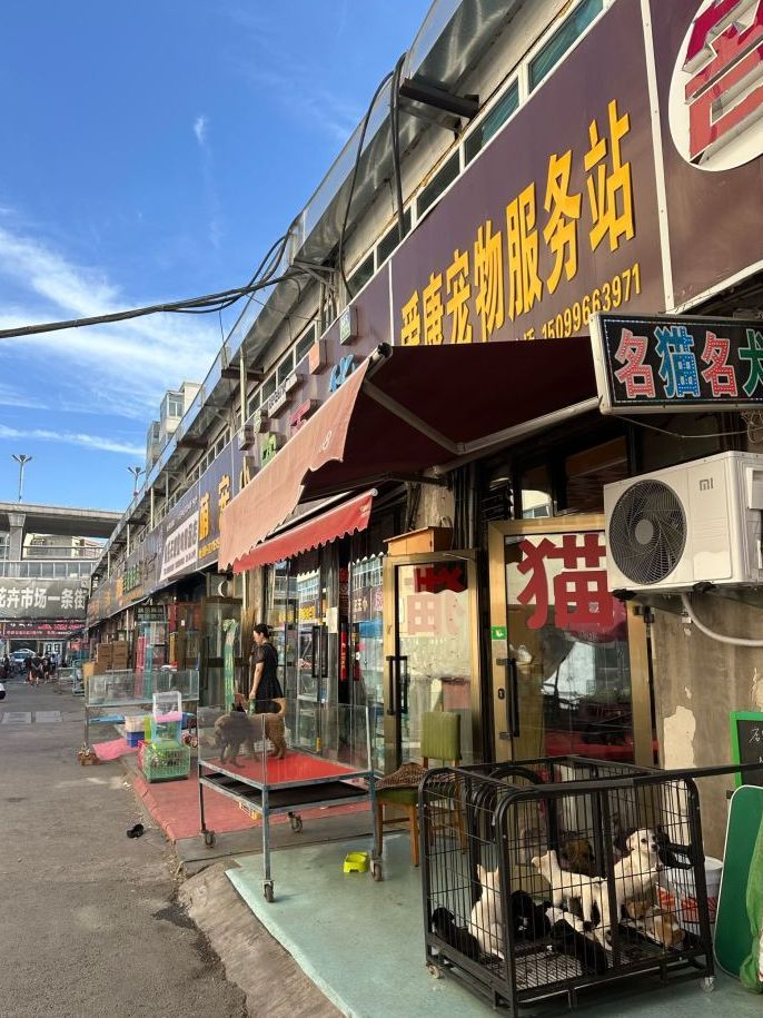 老华凌宠物一条街
