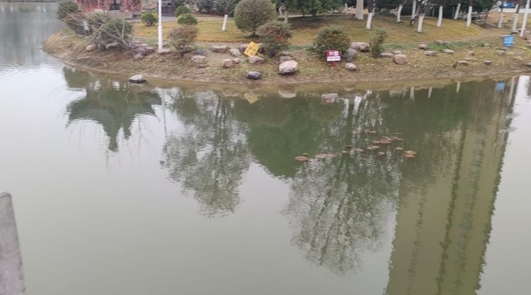 开源公园旅行图片 3