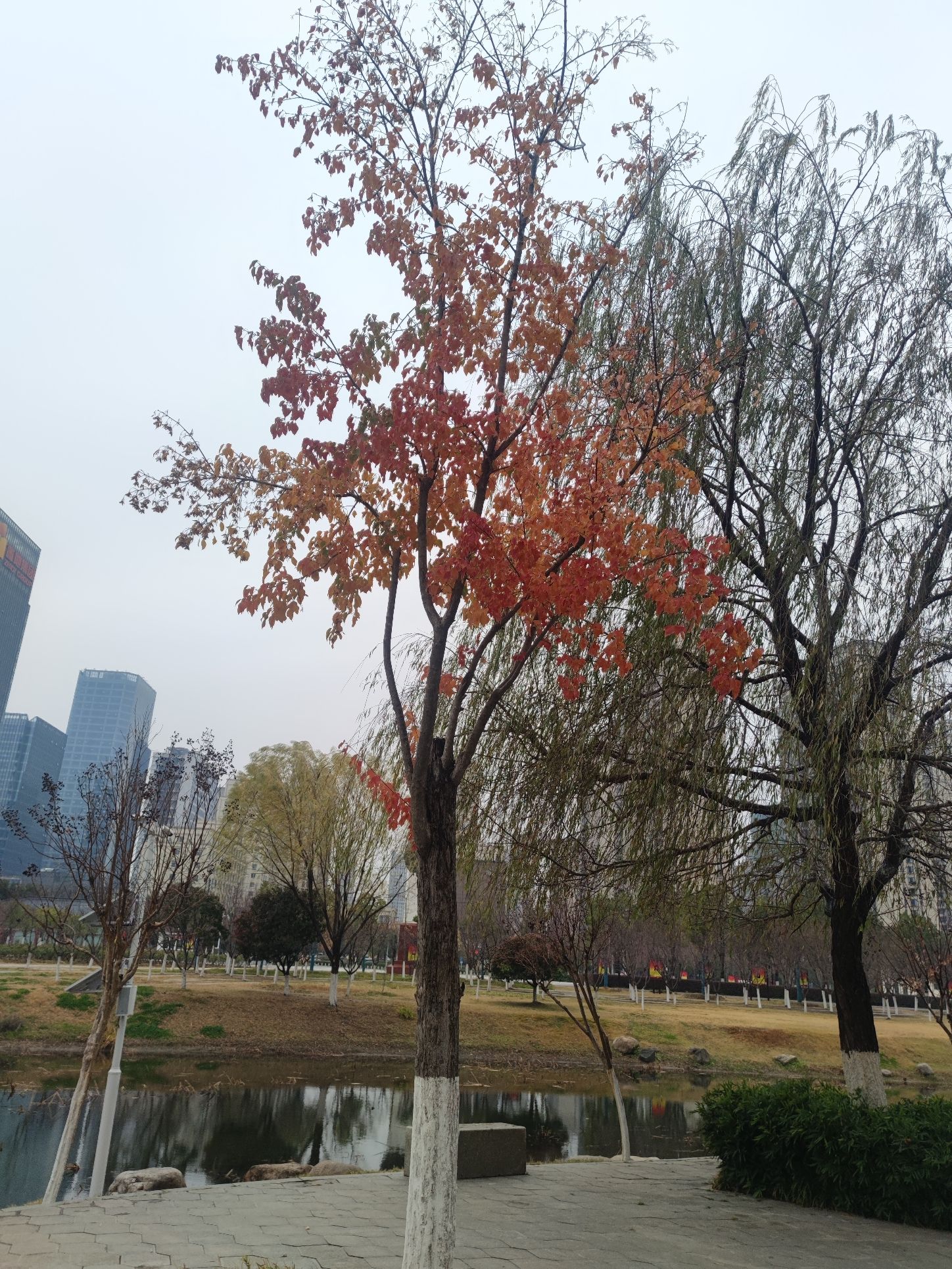 开源公园旅行图片 2