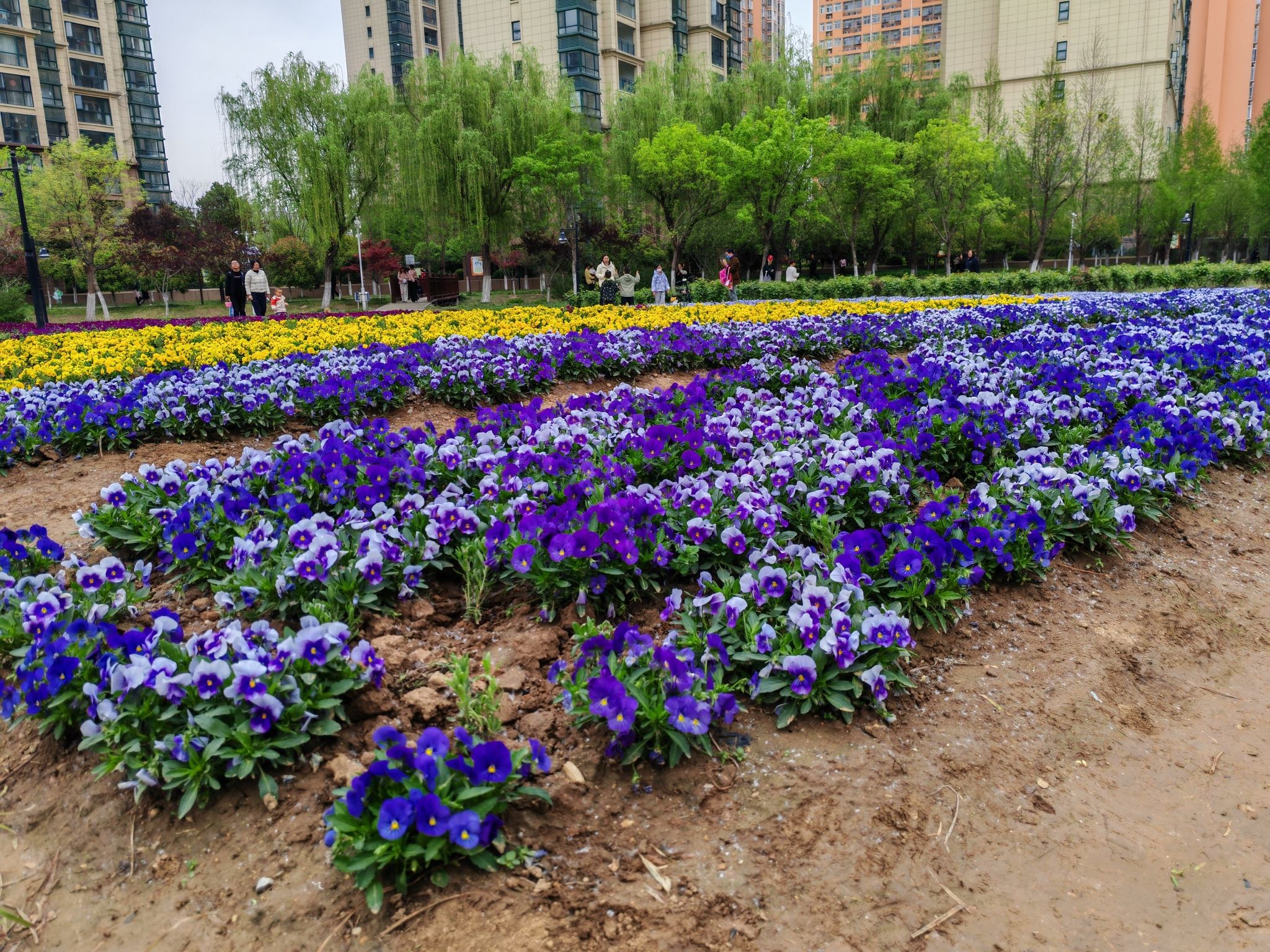 开源公园旅行图片 1