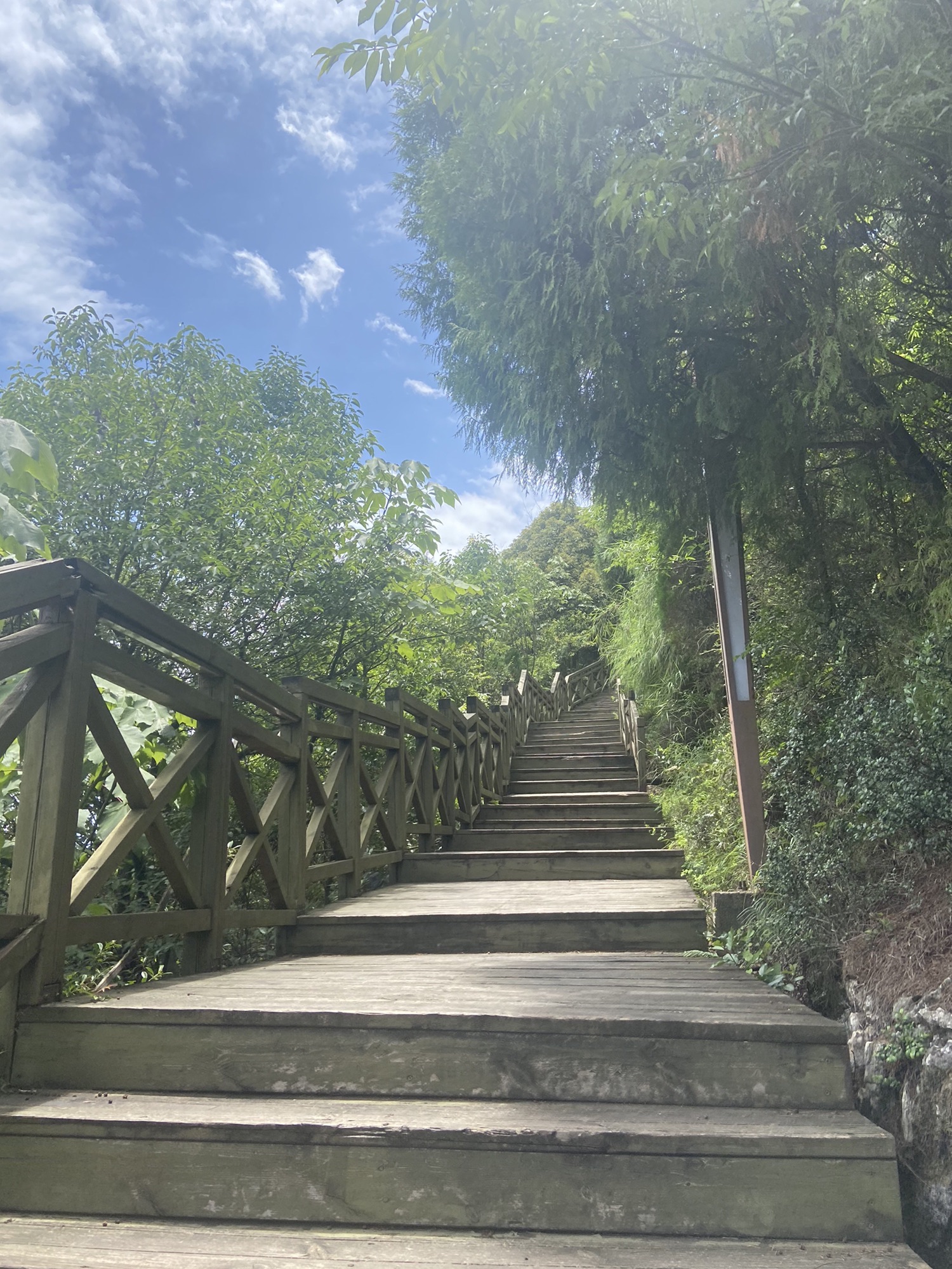 狮子山公园旅行图片 2