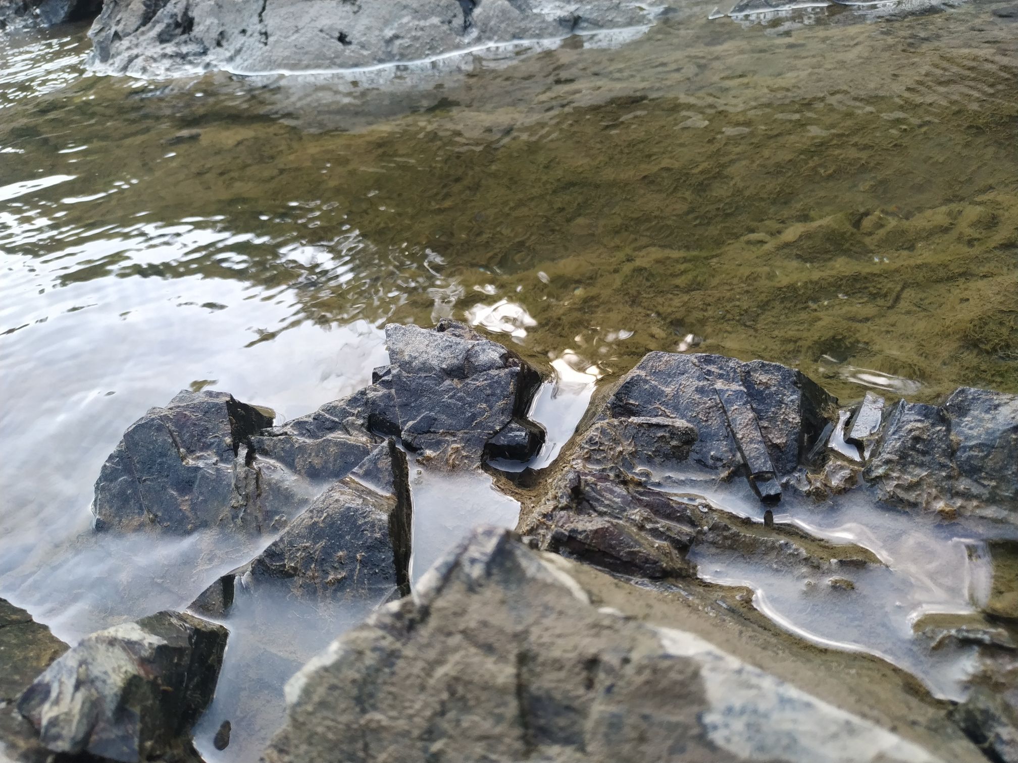孔雀滩旅行图片 2
