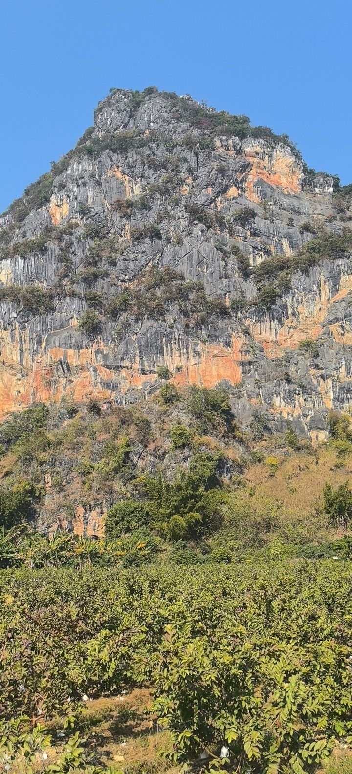 苹塘镇石山峰林风景区旅行图片 1