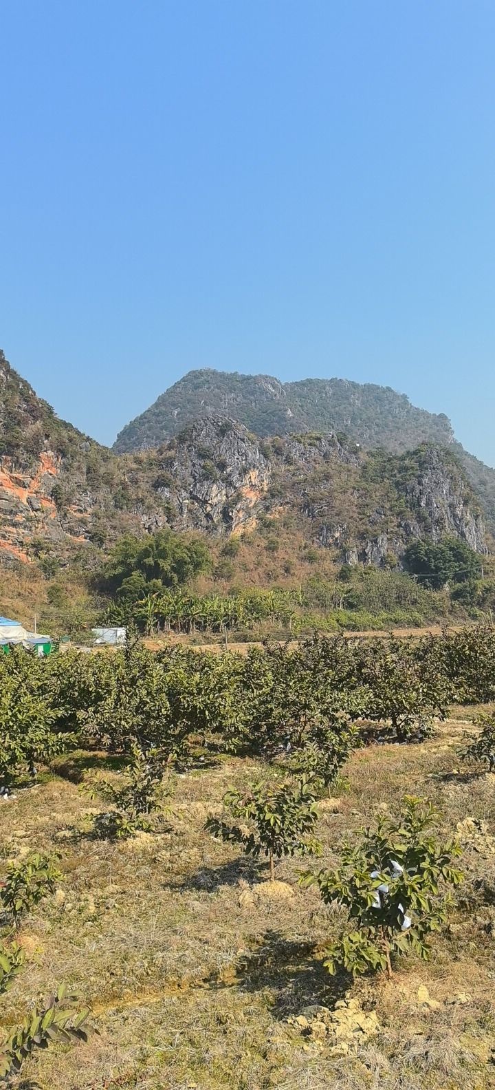 苹塘镇石山峰林风景区旅行图片 2