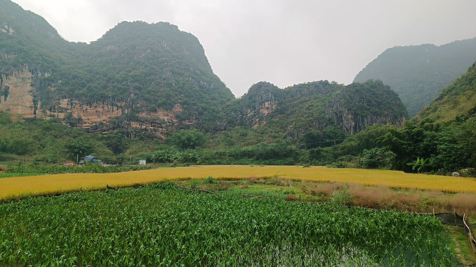 苹塘镇石山峰林风景区旅行图片 2