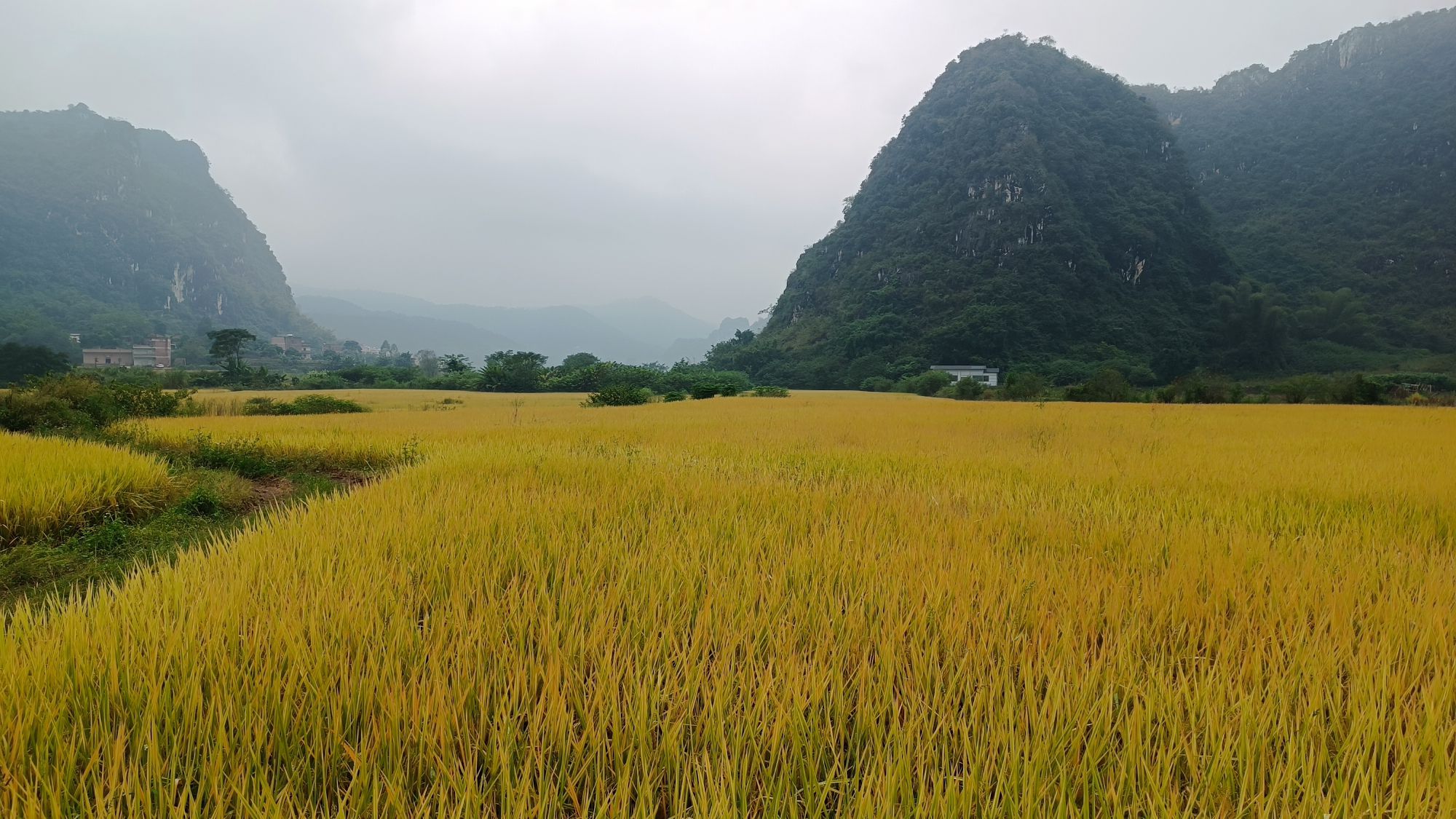 苹塘镇石山峰林风景区旅行图片 3
