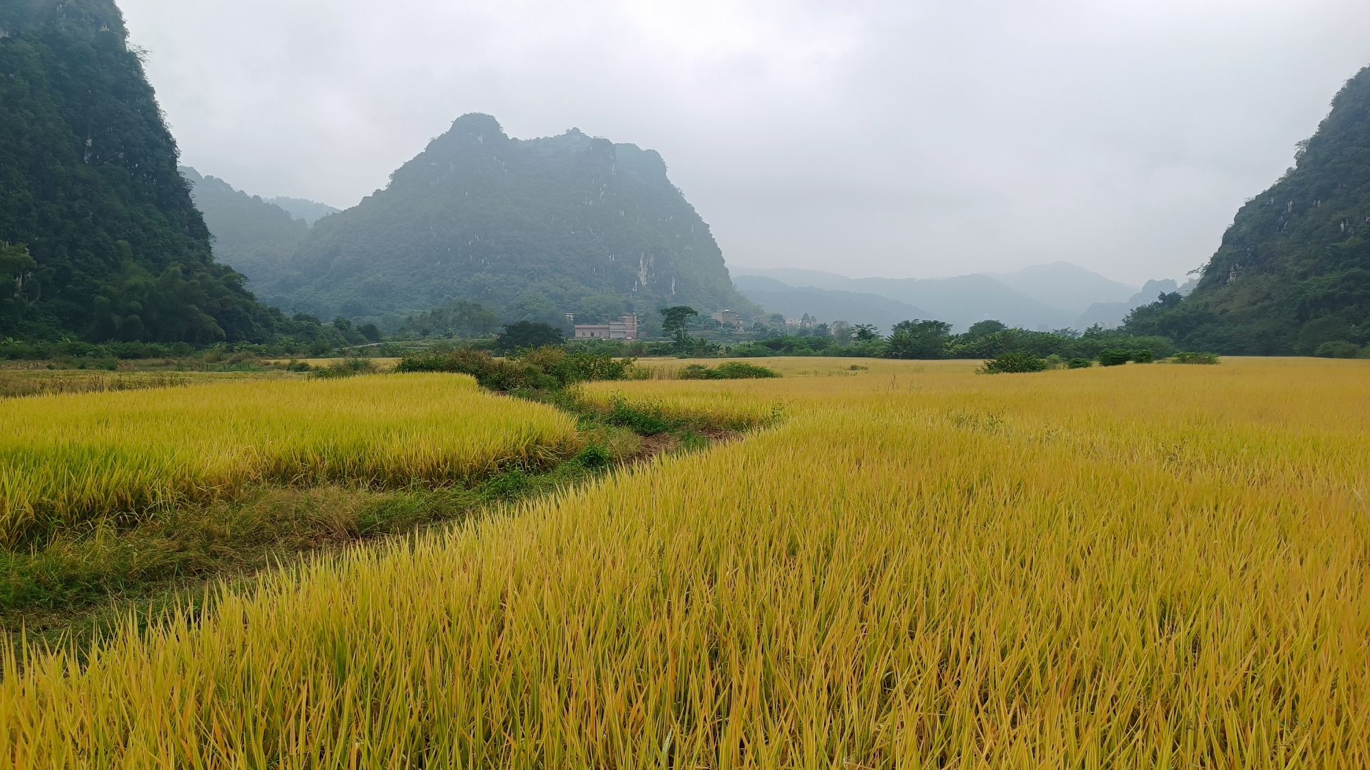 苹塘镇石山峰林风景区旅行图片 1