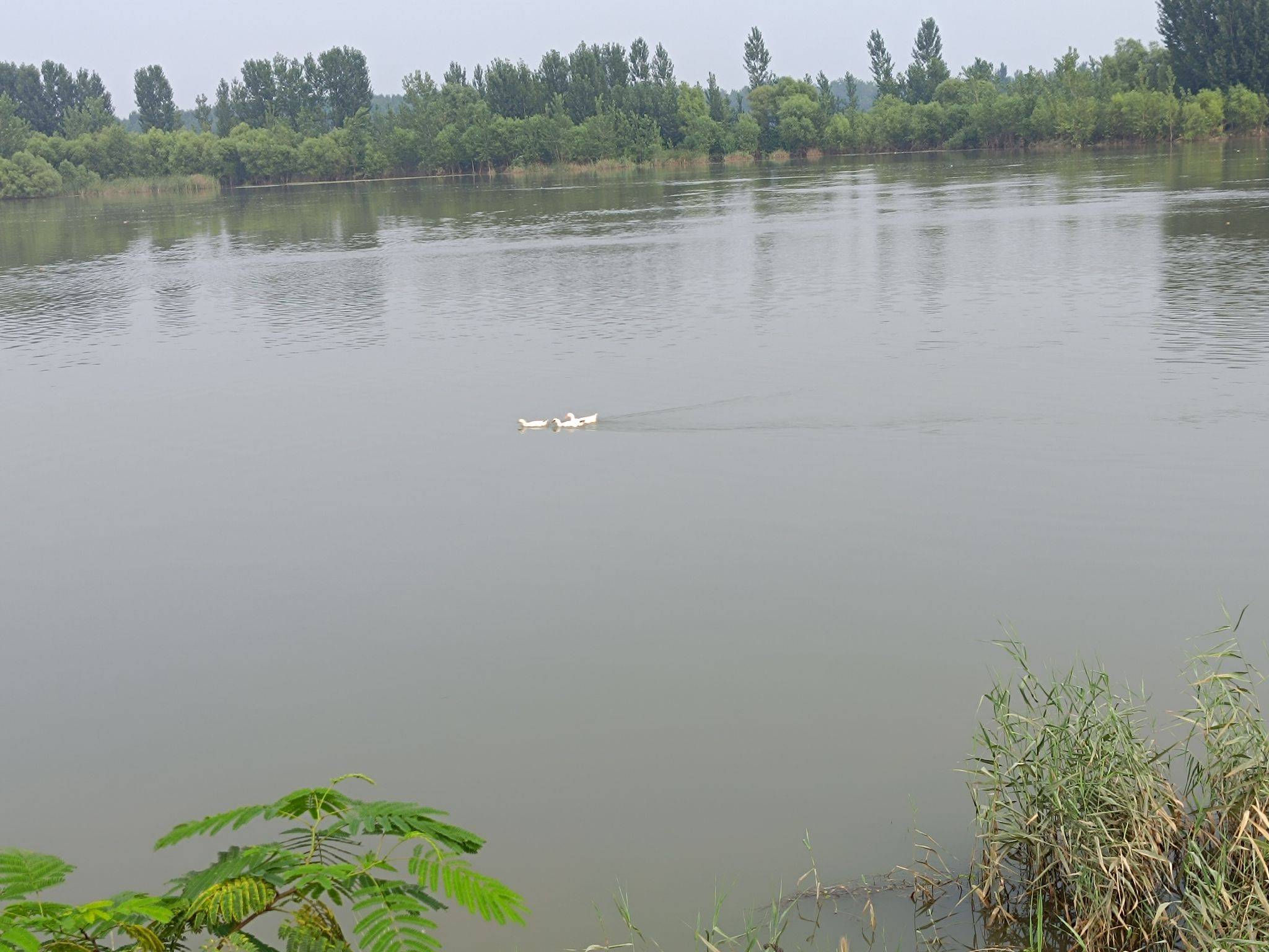 滦河母亲广场旅行图片 3