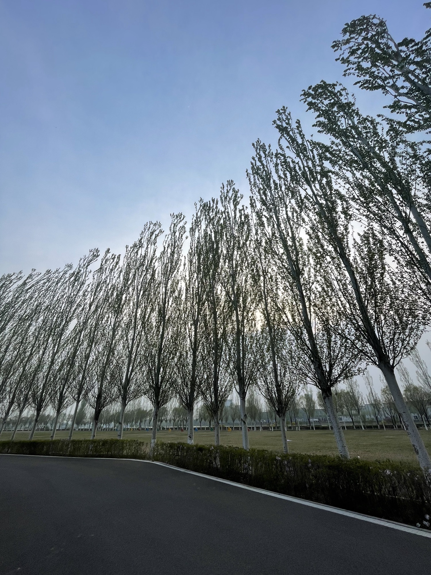 云中河水上公园旅行图片 2
