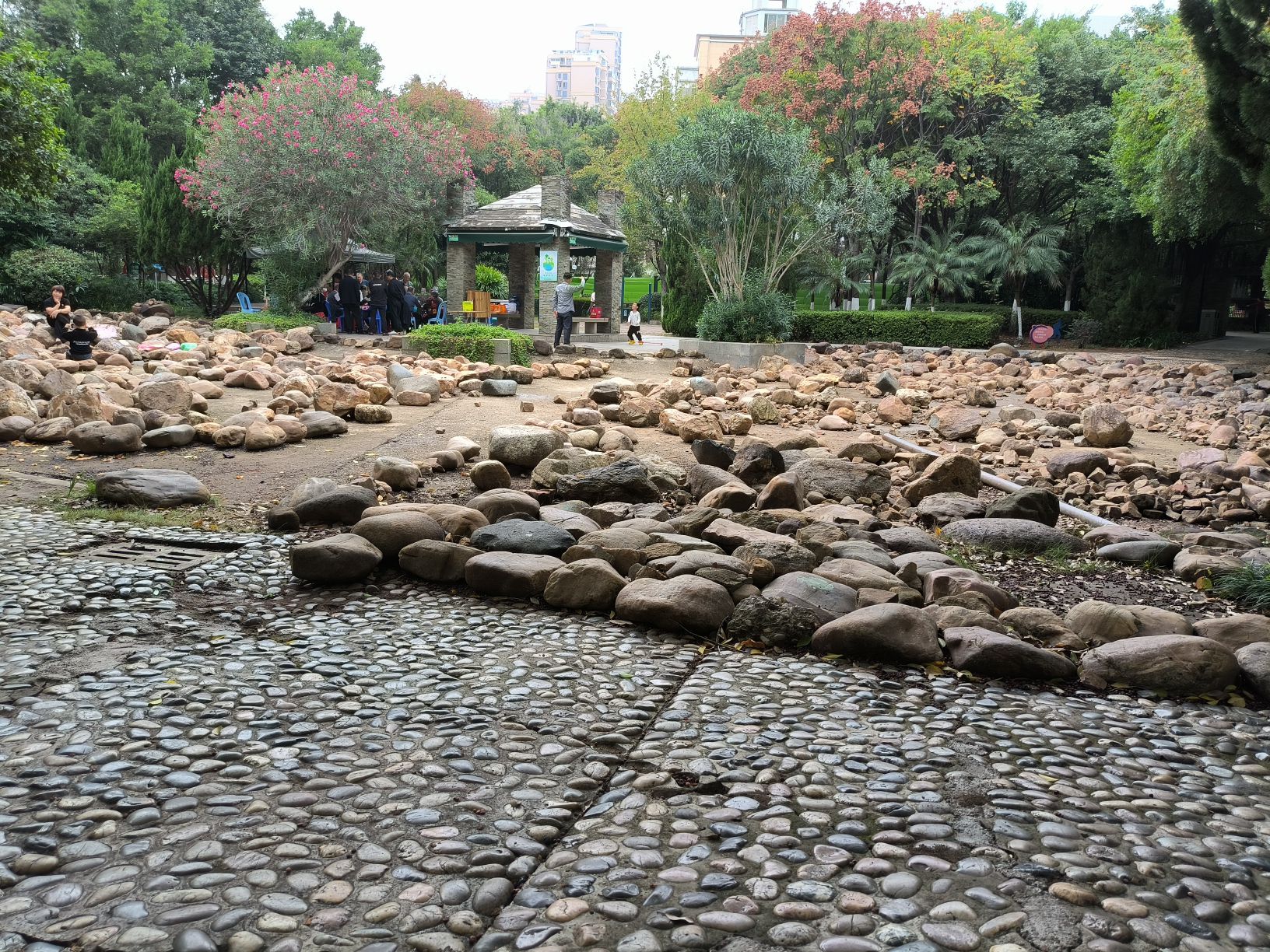赣州市樱花公园健康主题公园旅行图片 1
