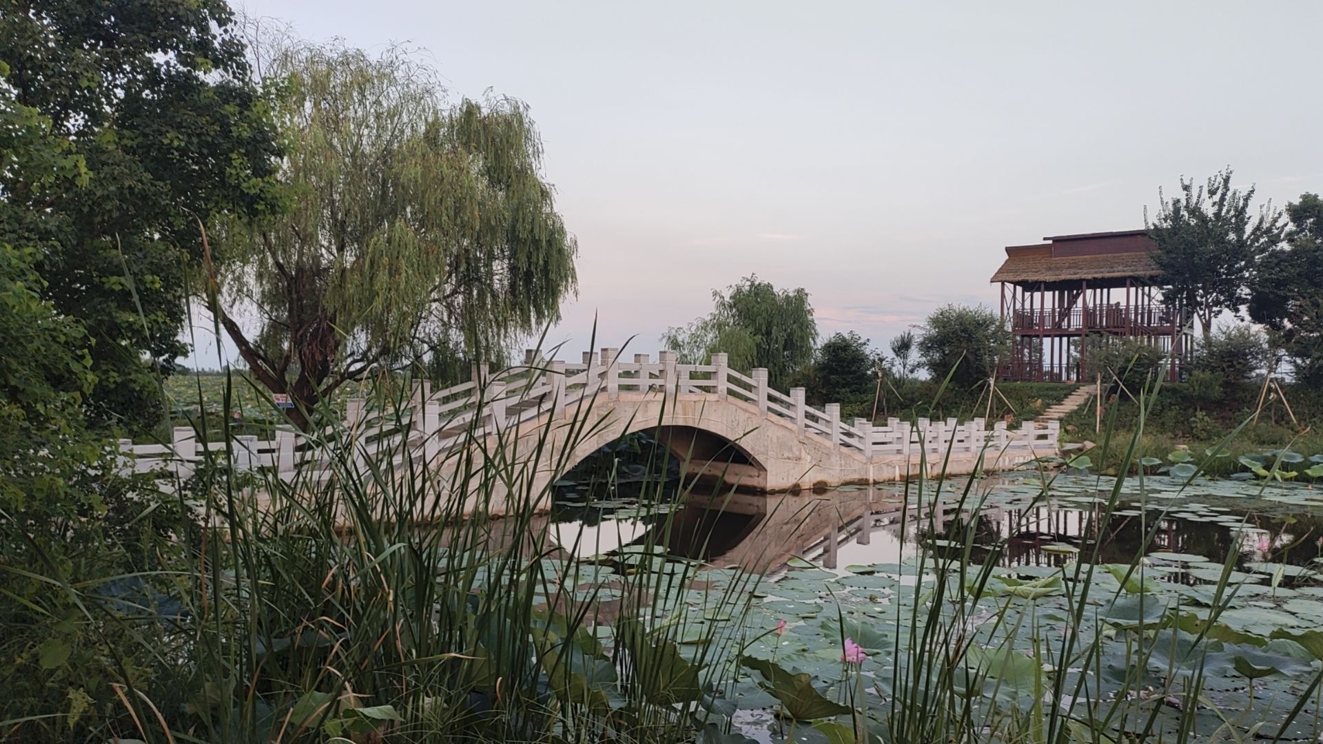 大渔滩湿地旅行图片 1