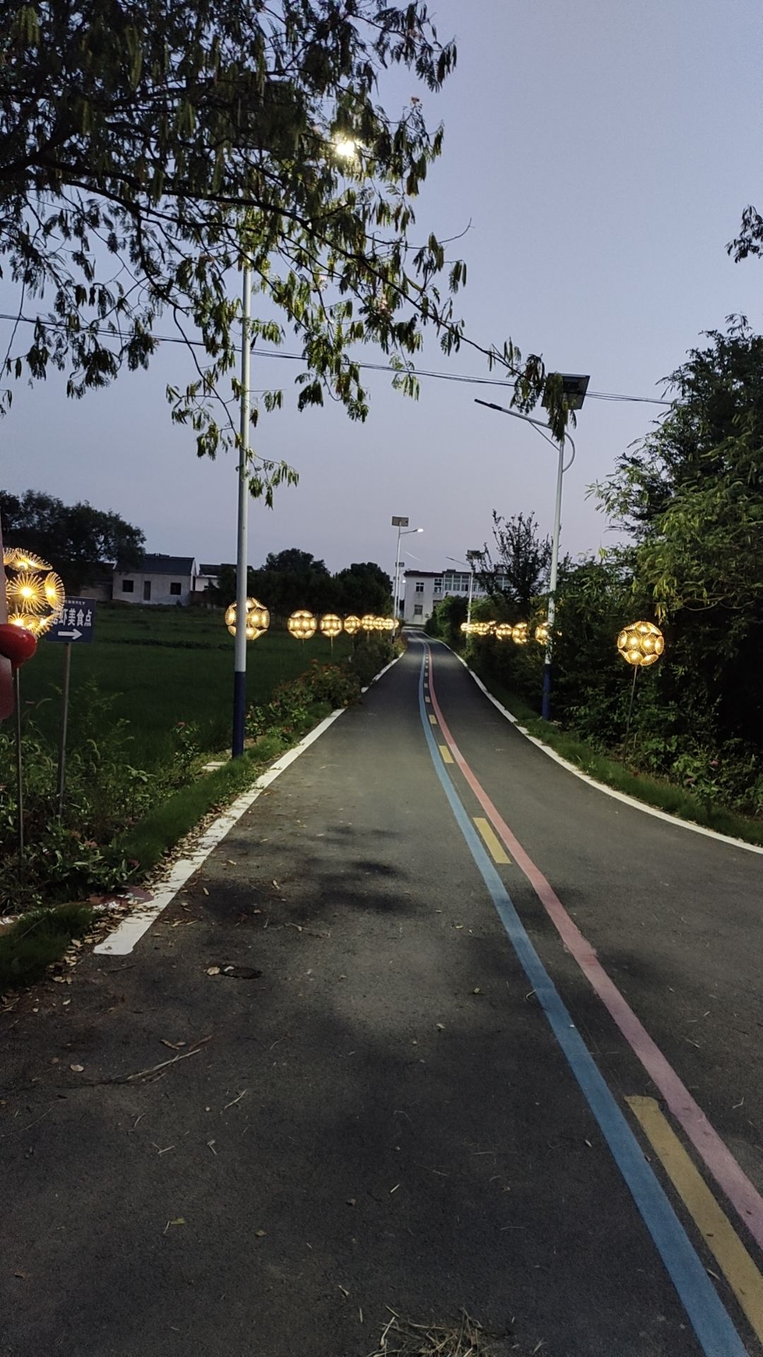 大渔滩湿地旅行图片 2