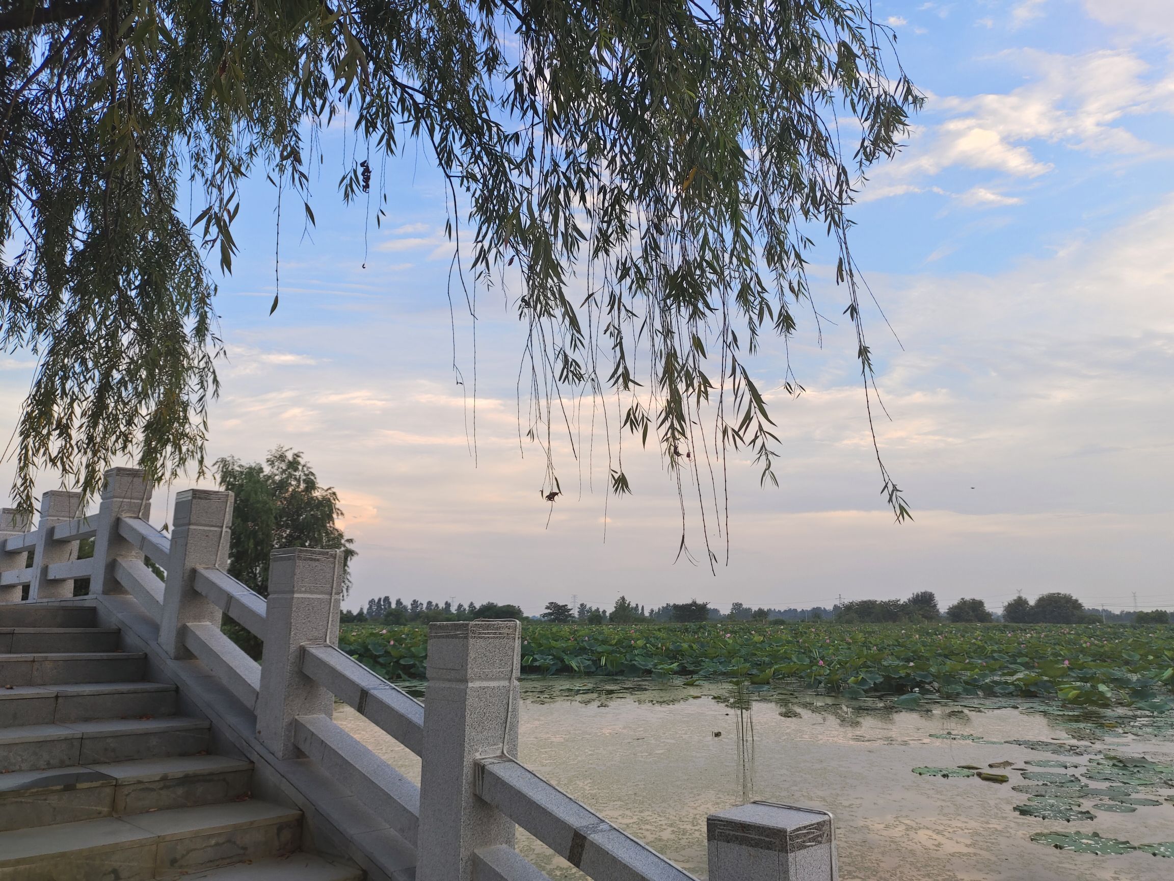 大渔滩湿地旅行图片 1