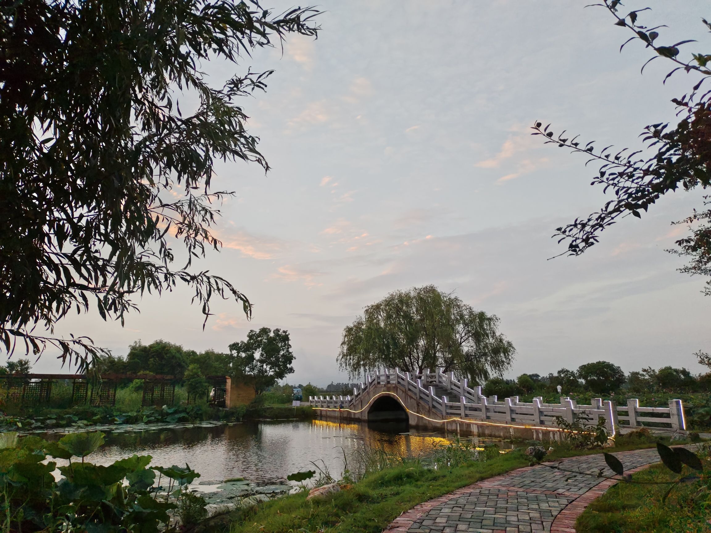 大渔滩湿地旅行图片 3