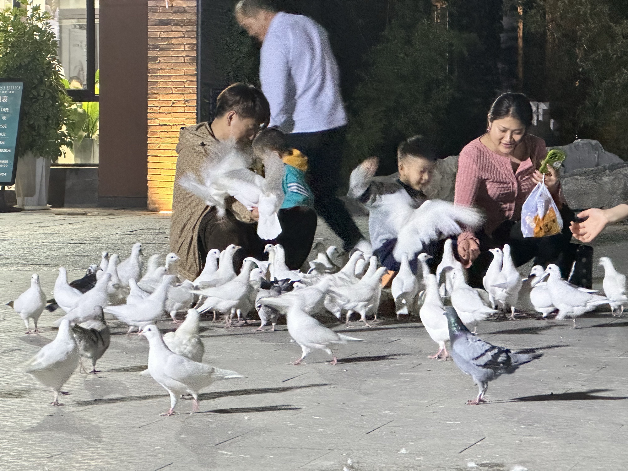 蝴蝶公园旅行图片 3