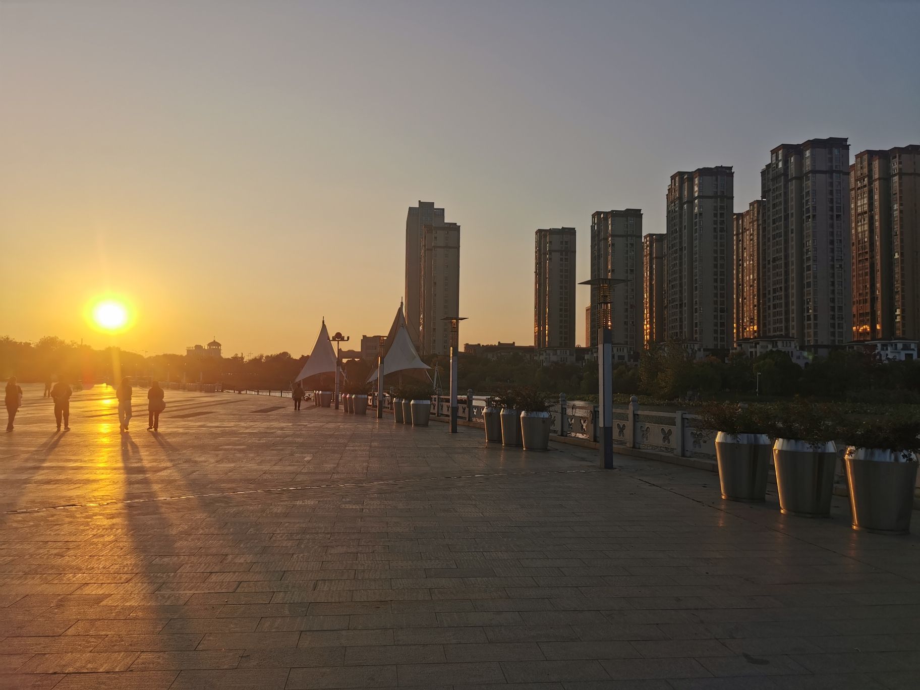 蝴蝶公园旅行图片 2