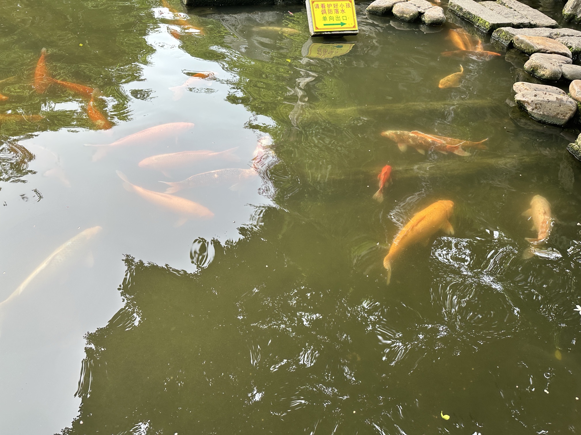渔人码头旅行图片 1