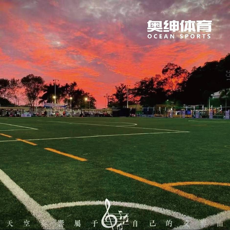 场地封面-奥绅体育公园足球场