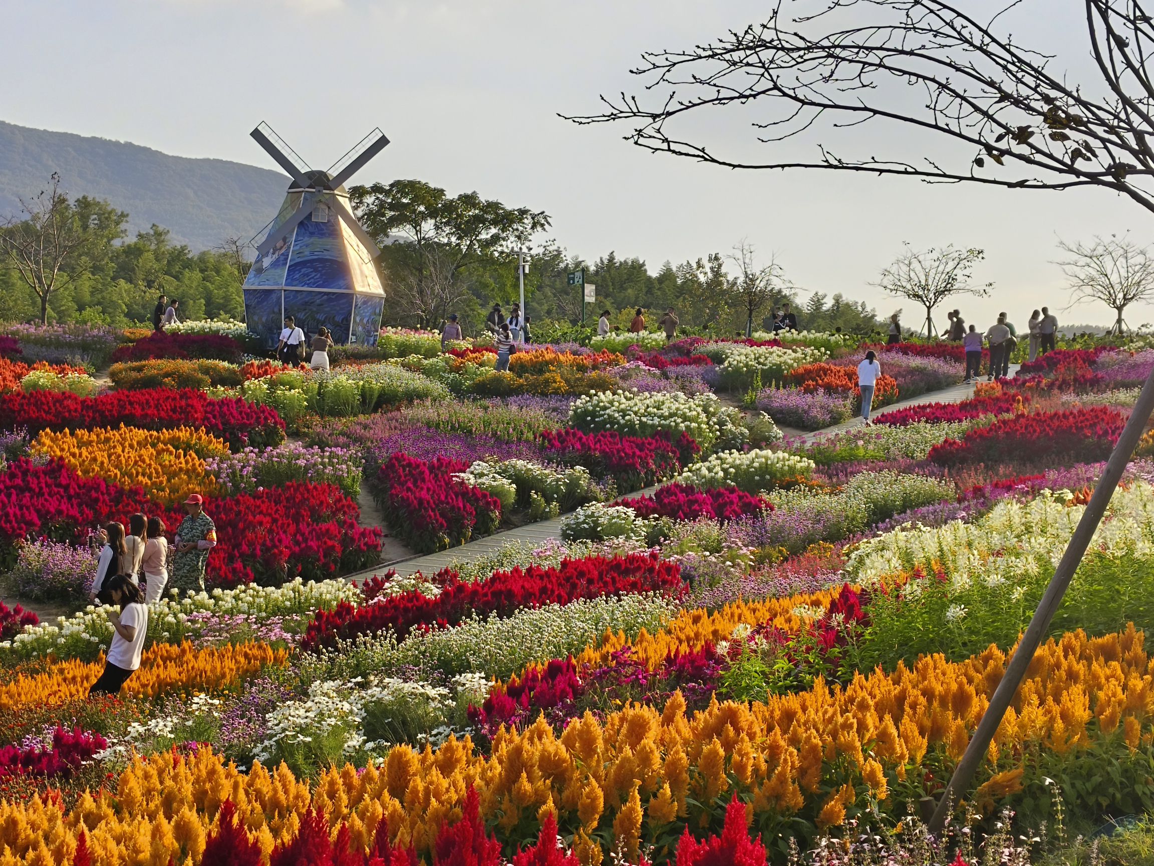 茅山花谷奇缘景区旅行图片 2
