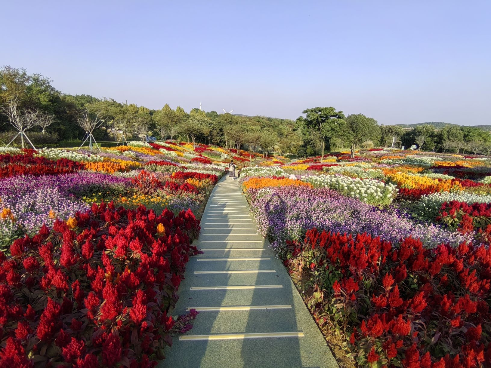 茅山花谷奇缘景区旅行图片 3
