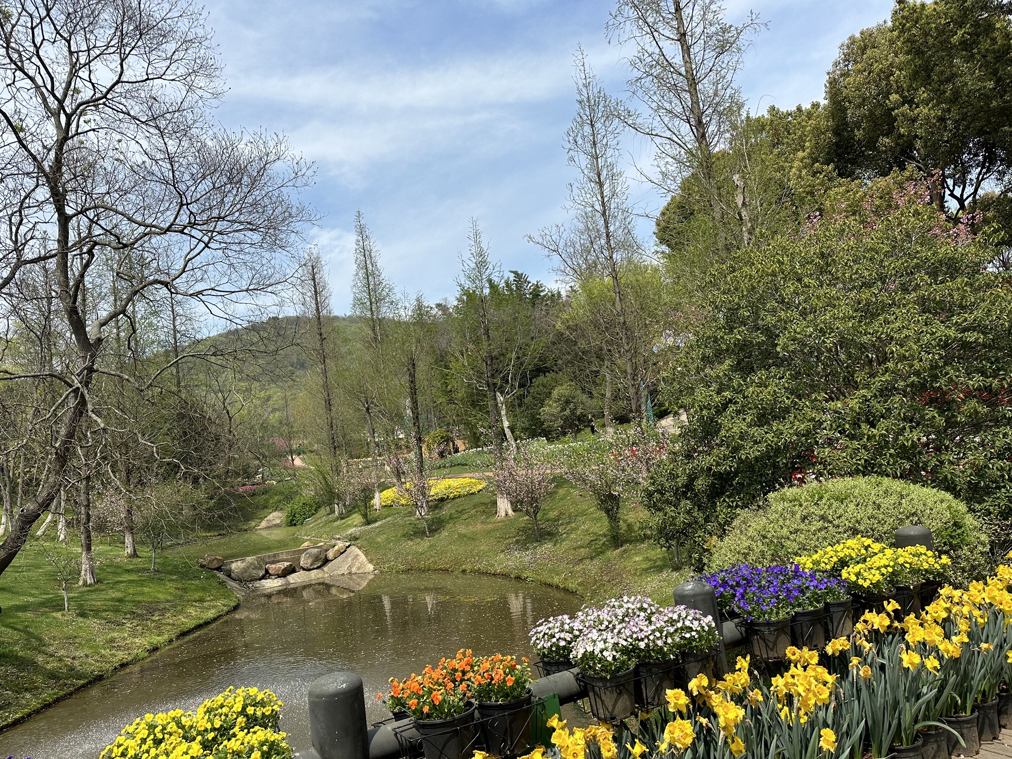 茅山花谷奇缘景区旅行图片 3