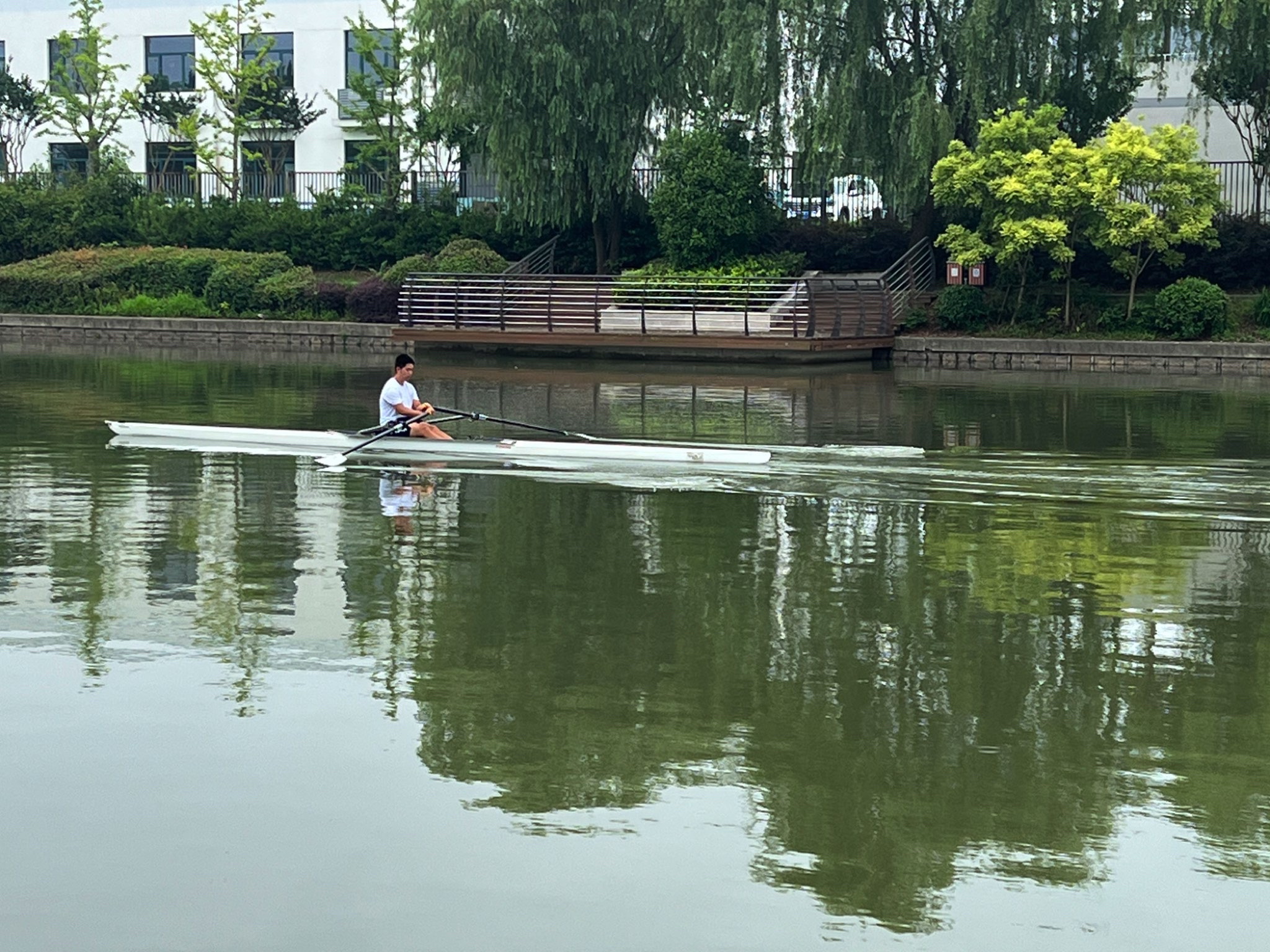 华翔绿地公园旅行图片 2
