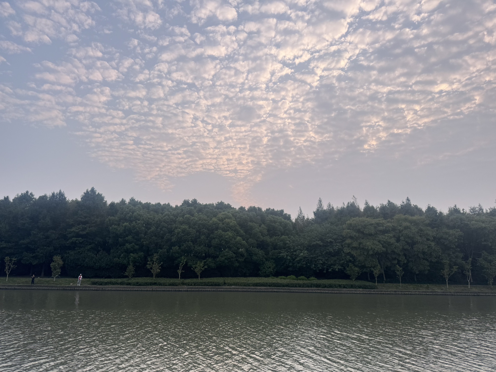 华翔绿地公园旅行图片 2