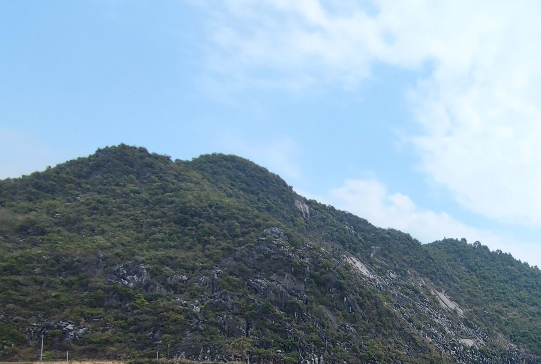 大钟山公园旅行图片 2