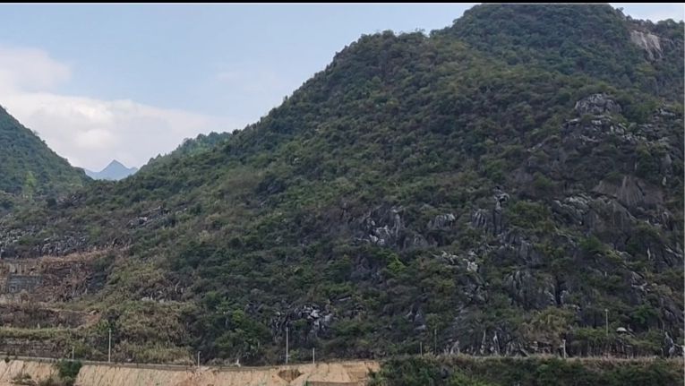 大钟山公园旅行图片 3