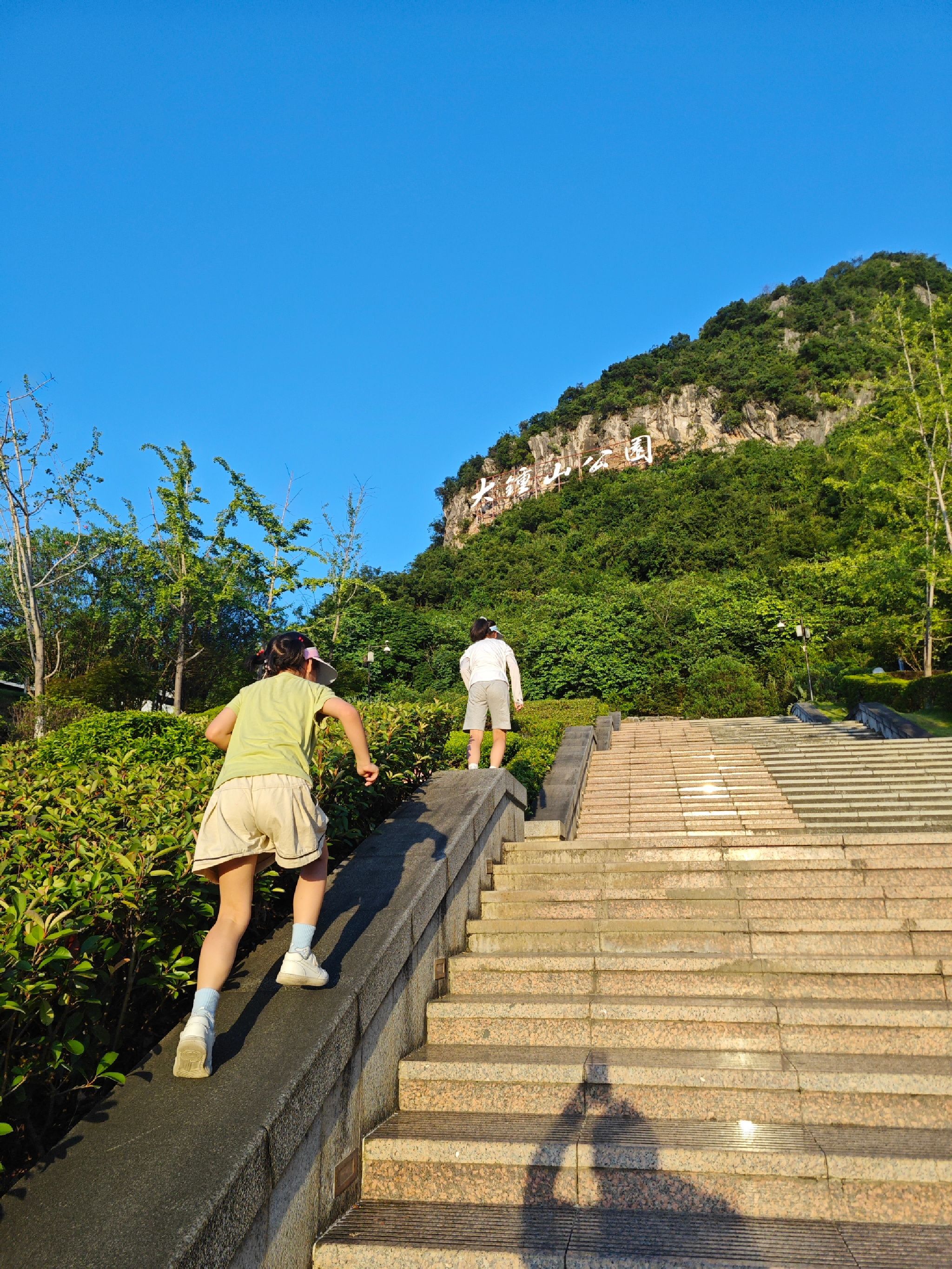大钟山公园旅行图片 1