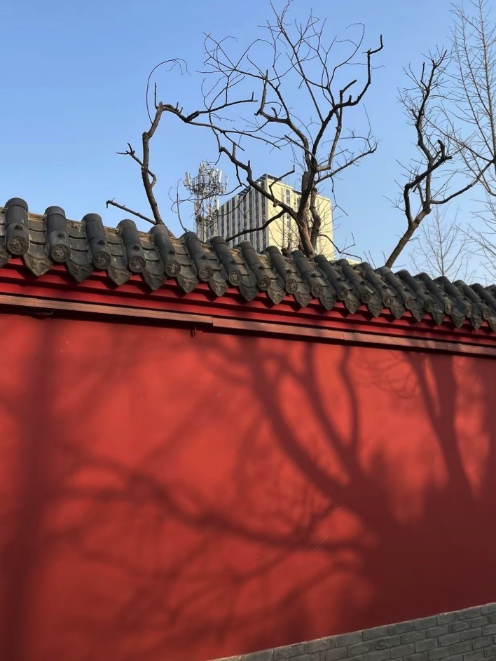 兴福寺公园旅行图片 2