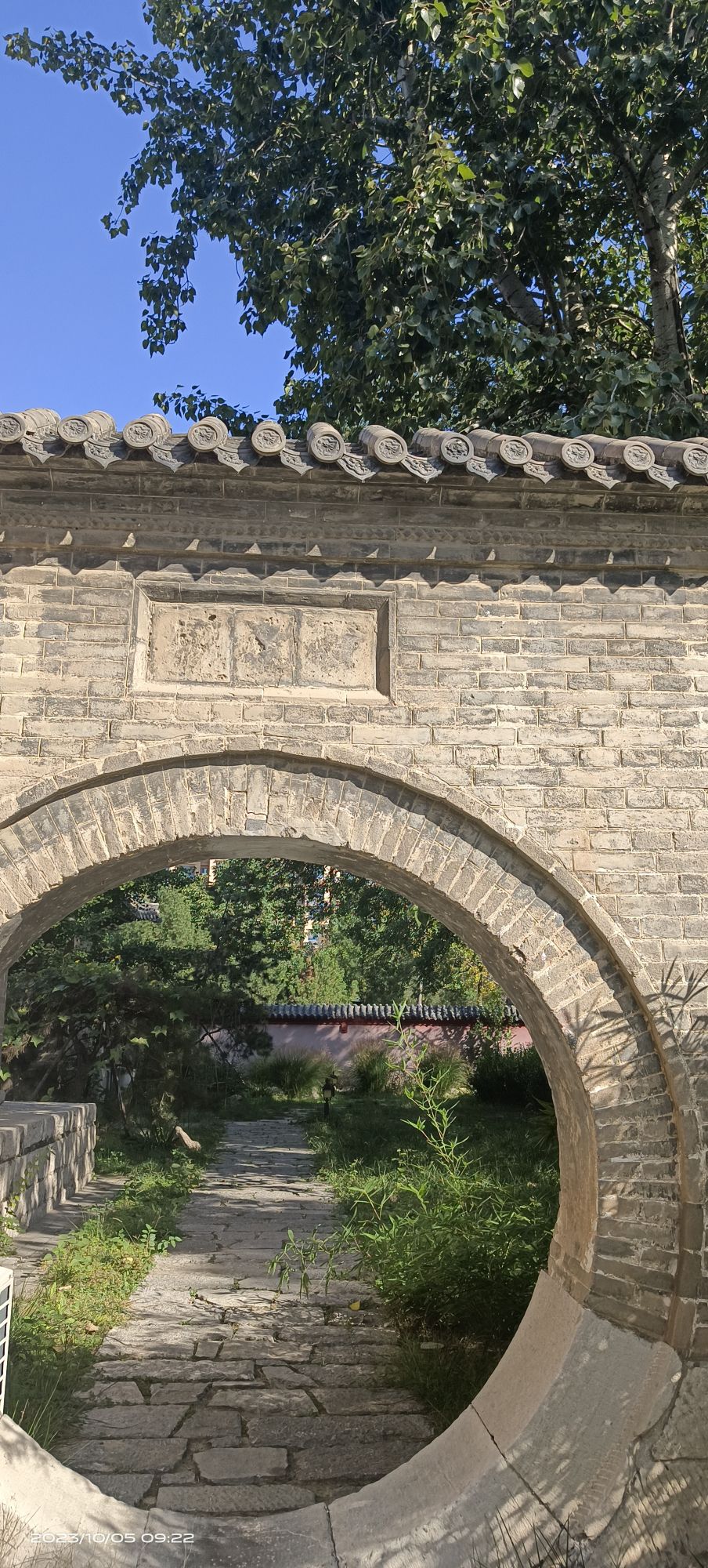 兴福寺公园旅行图片 1