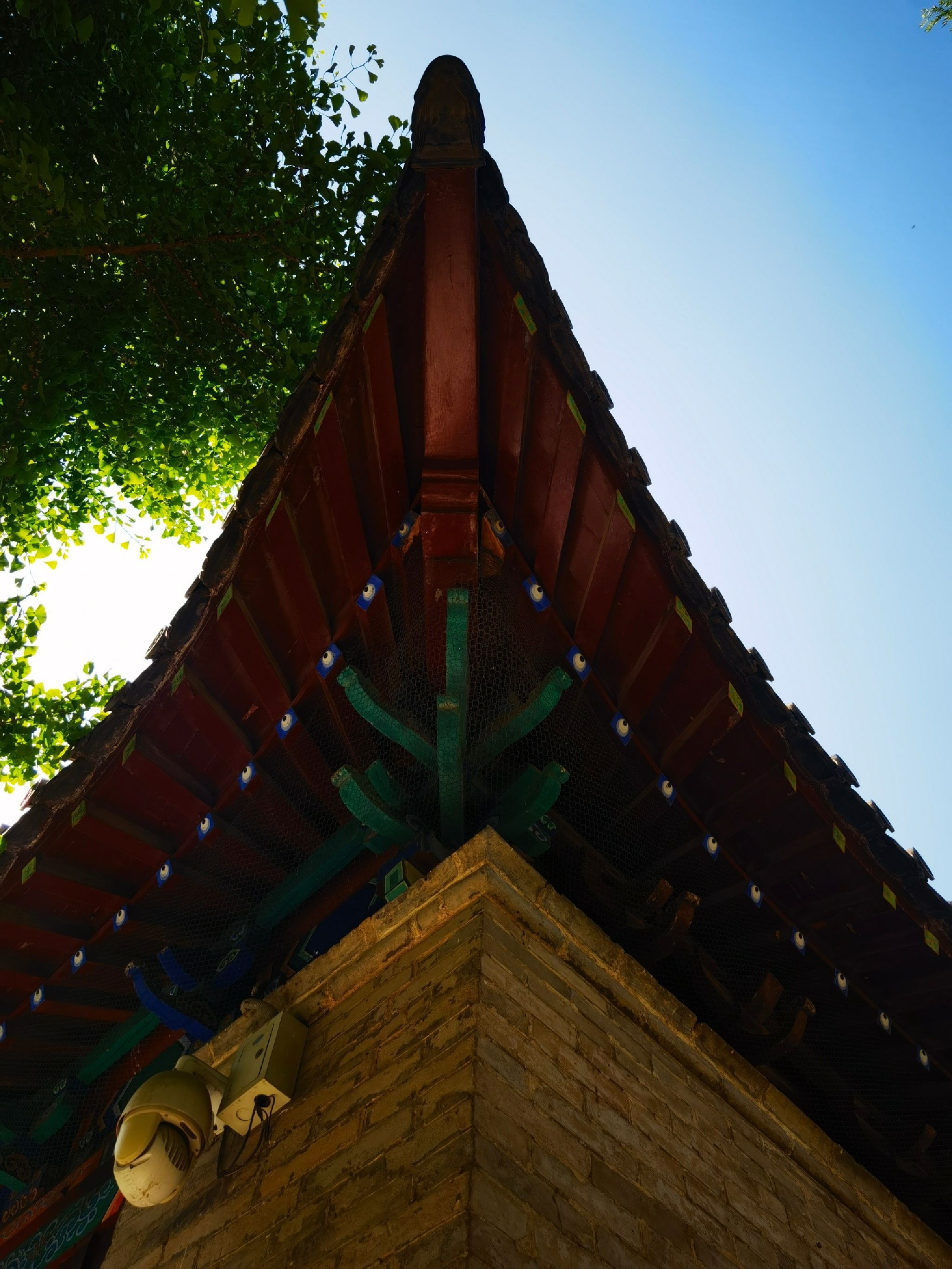 兴福寺公园旅行图片 3