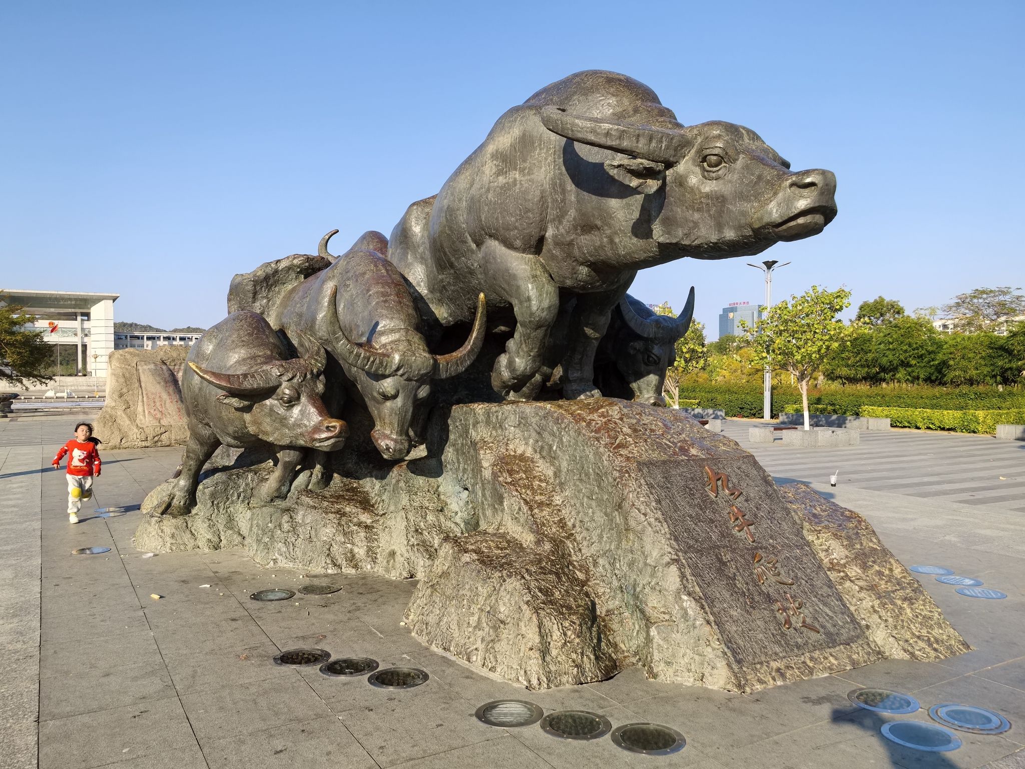 九牛爬坡旅行图片 1
