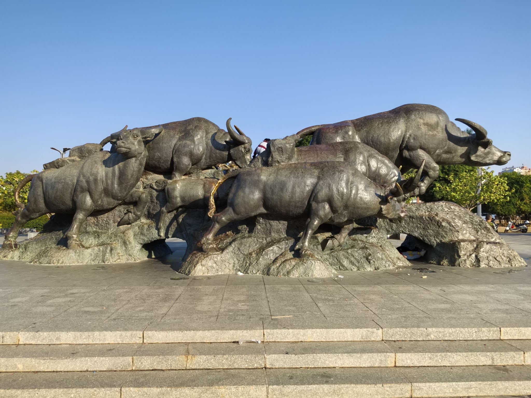 九牛爬坡旅行图片 2