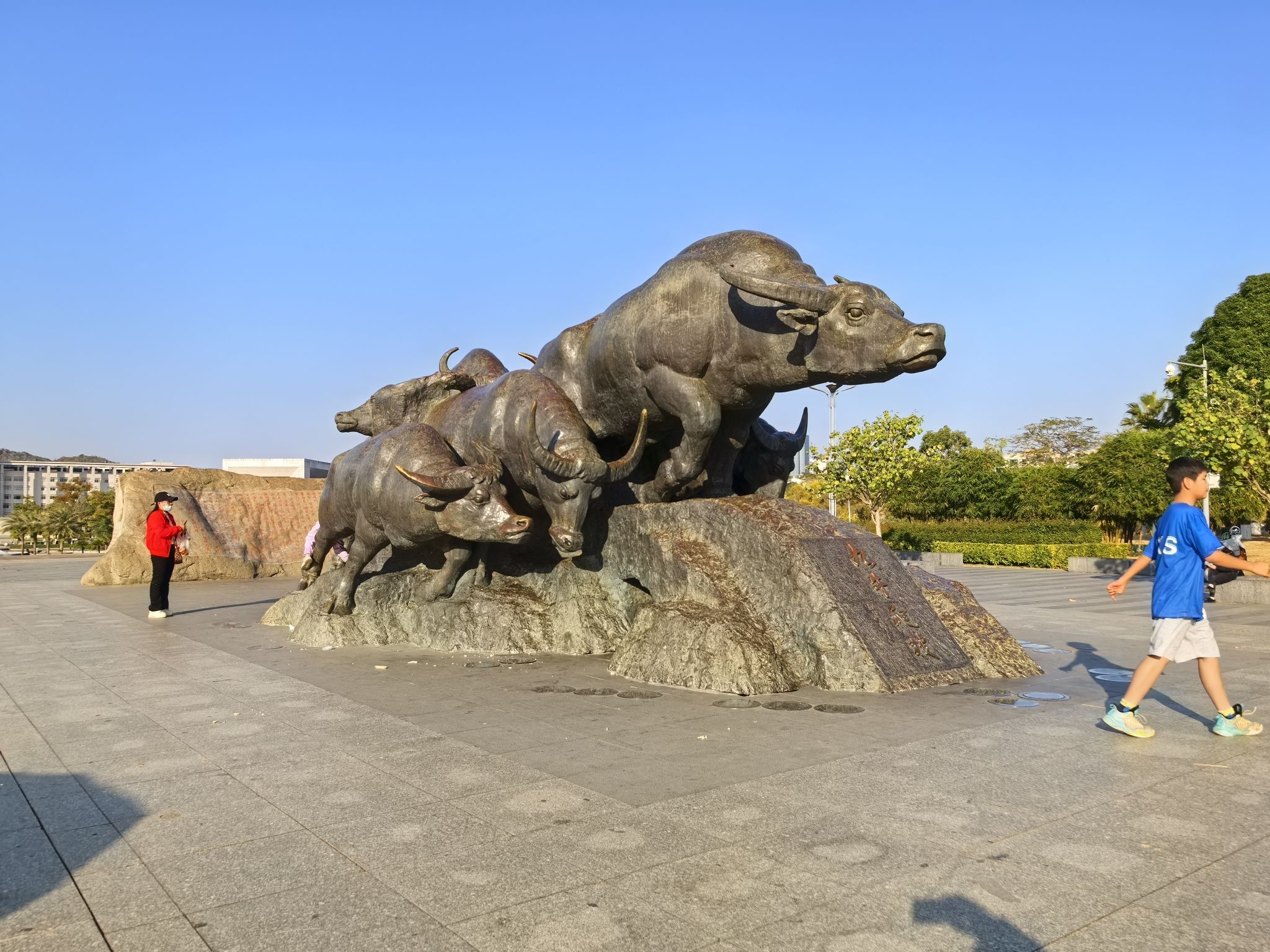 九牛爬坡旅行图片 3