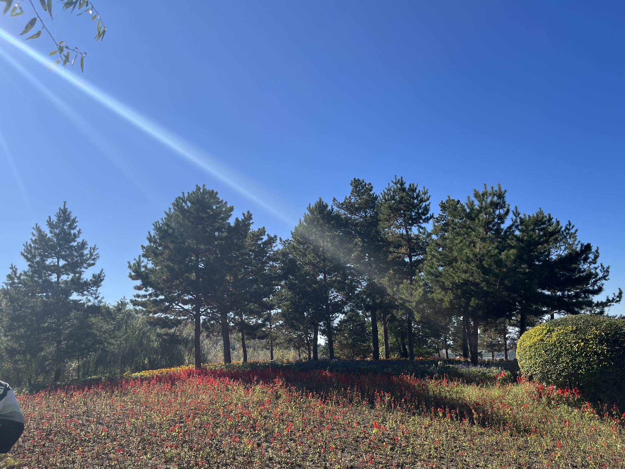 天恒山旅行图片 2
