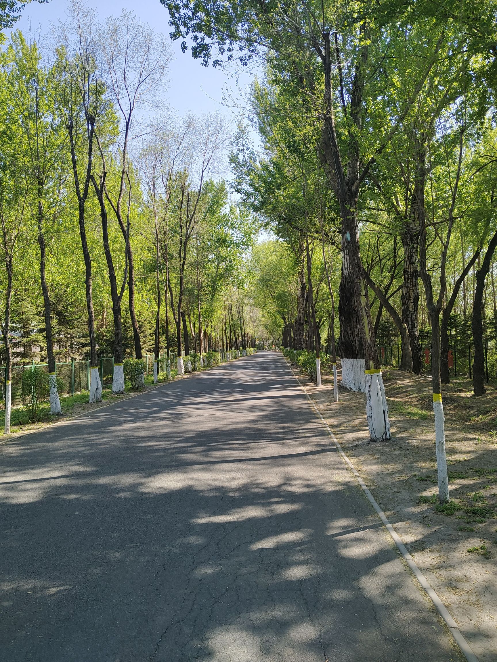 天恒山旅行图片 1