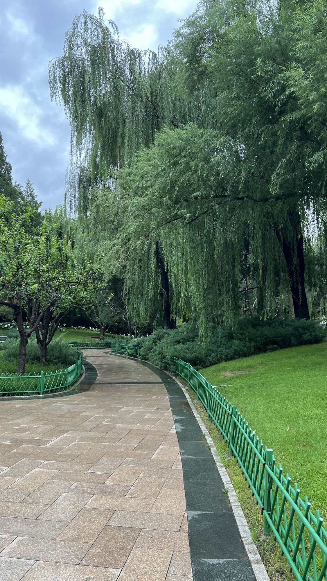 翠微烟雨公园旅行图片 3