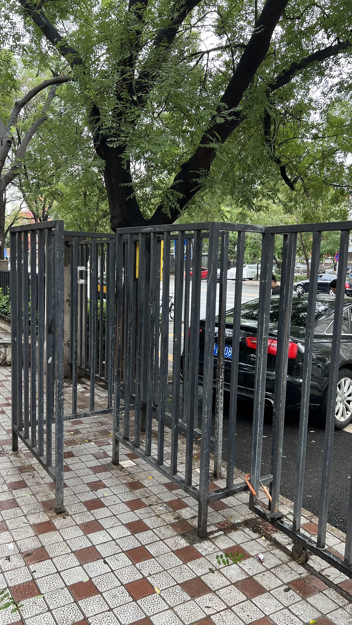 翠微烟雨公园旅行图片 1