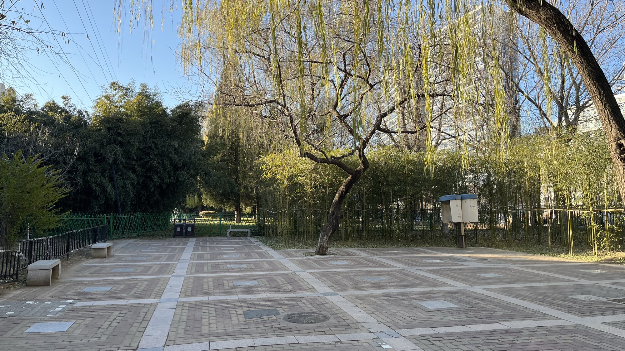 翠微烟雨公园旅行图片 2