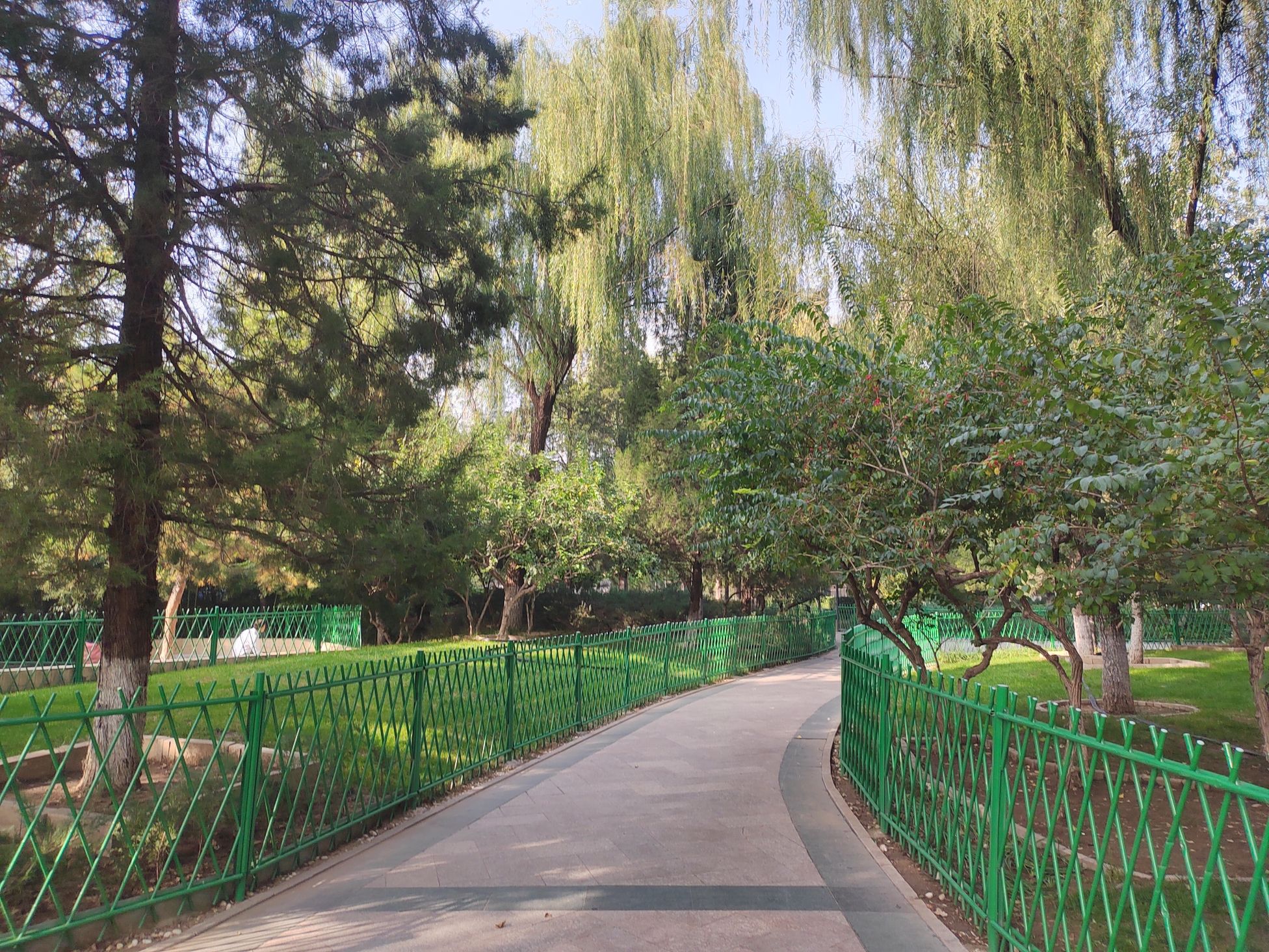 翠微烟雨公园旅行图片 3