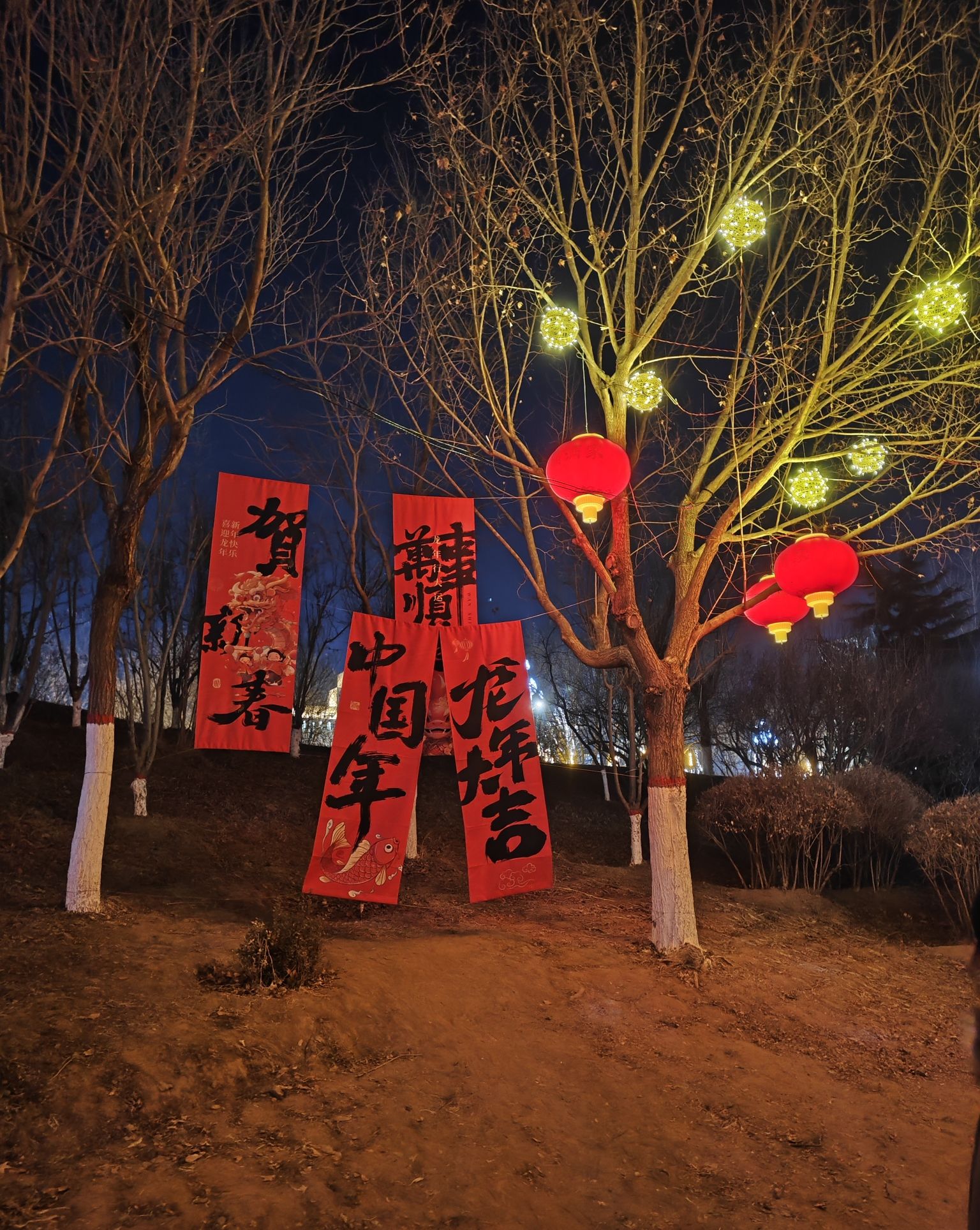 孤竹文化公园旅行图片 1