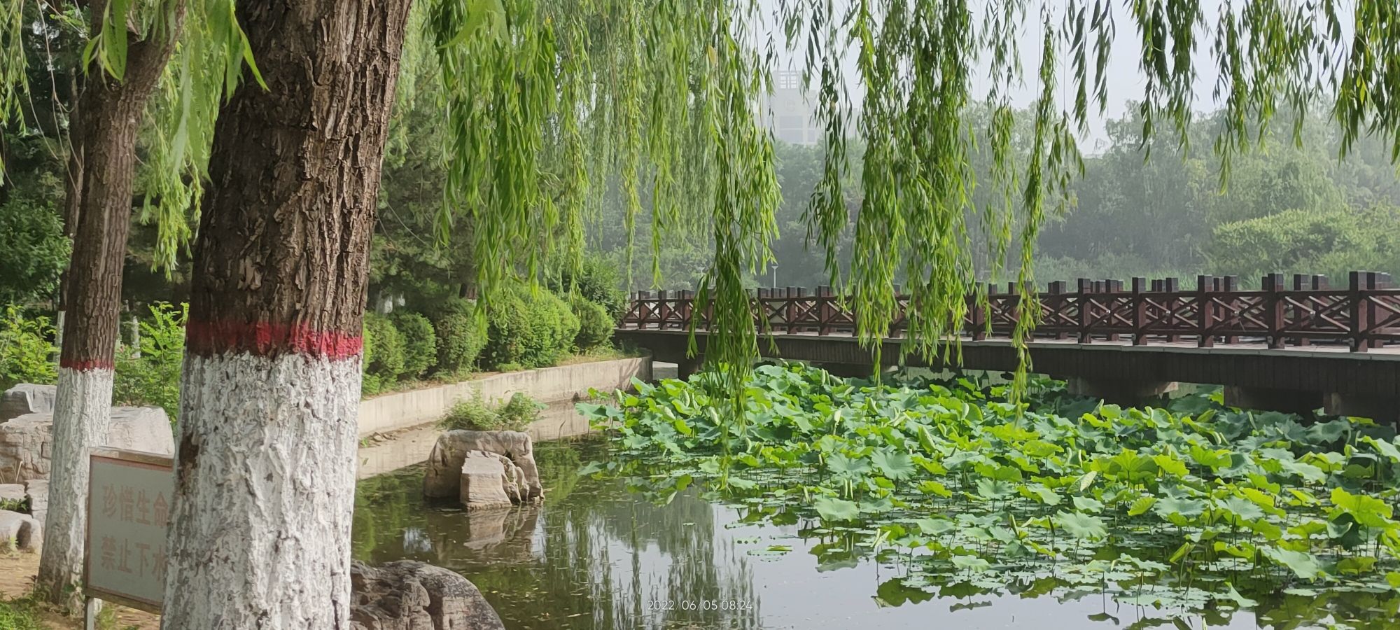 孤竹文化公园旅行图片 2