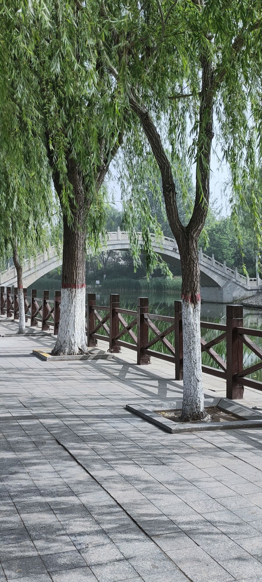 孤竹文化公园旅行图片 1