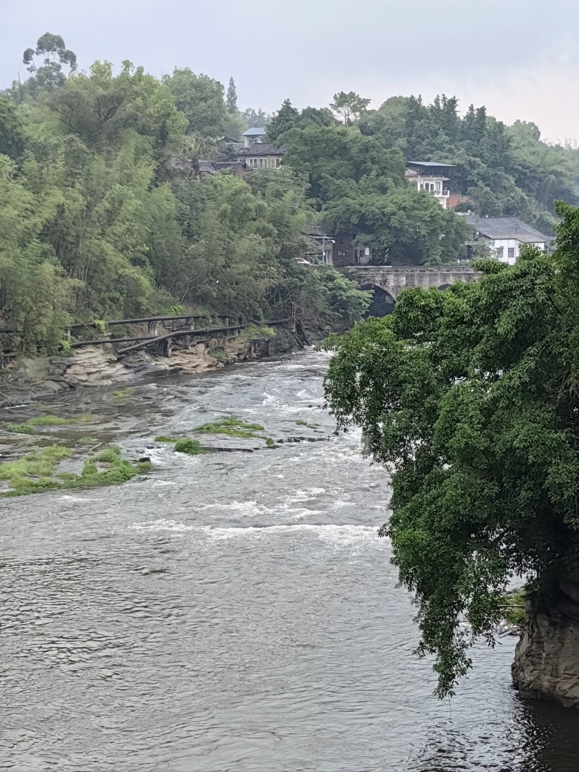 卧龙湖湿地公园旅行图片 2
